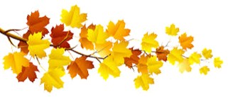 autumn leaves
